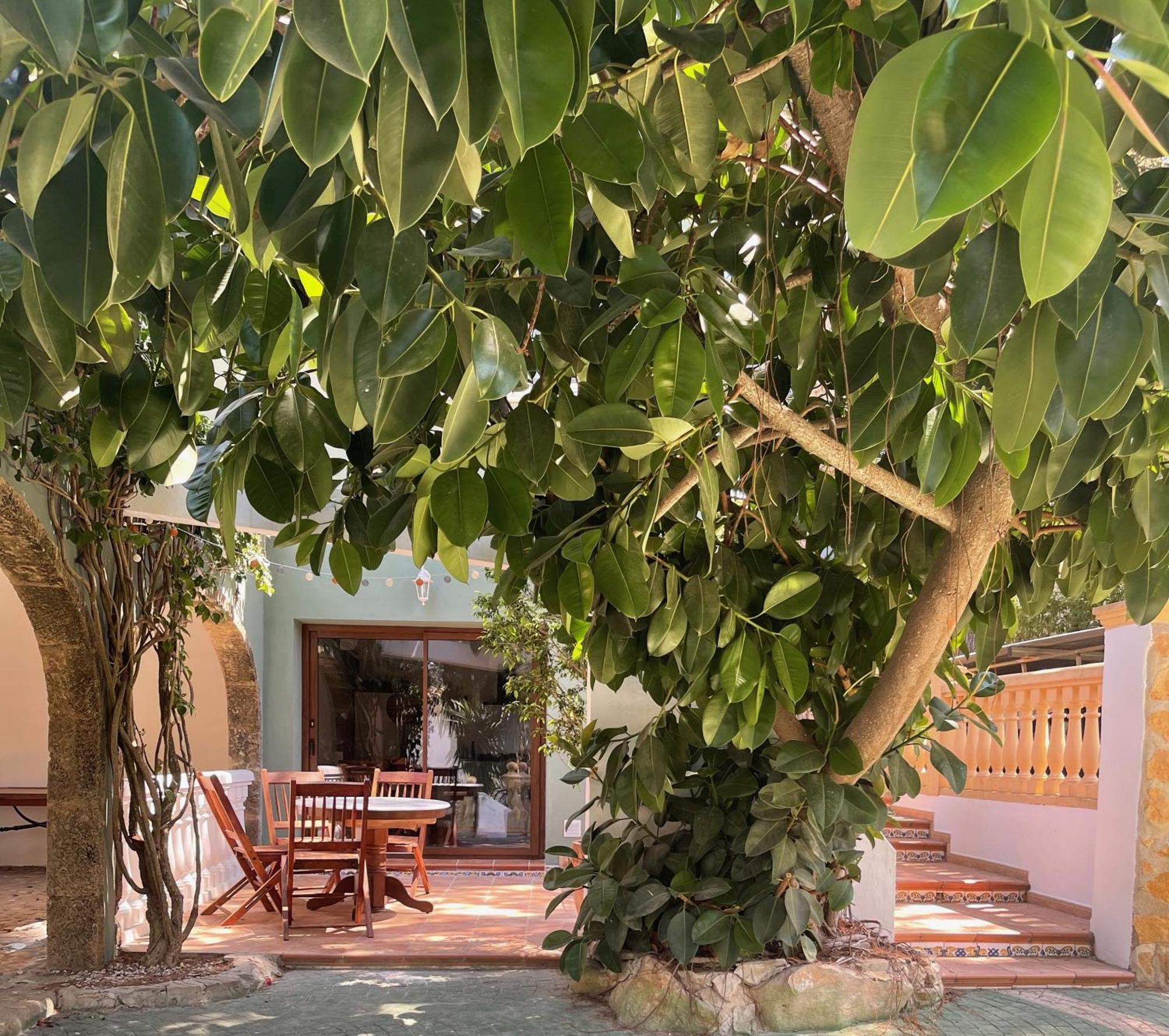 La Posada Paradiso Jávea Exteriér fotografie